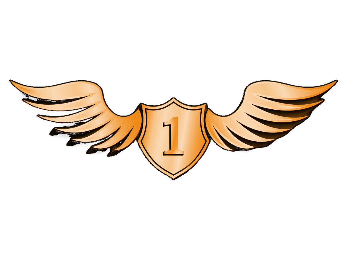 VIP 1