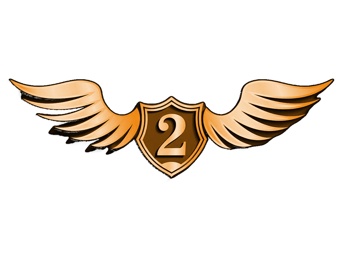 VIP 2