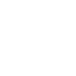 EVOLUTION