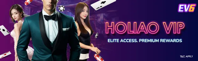Holiao VIP